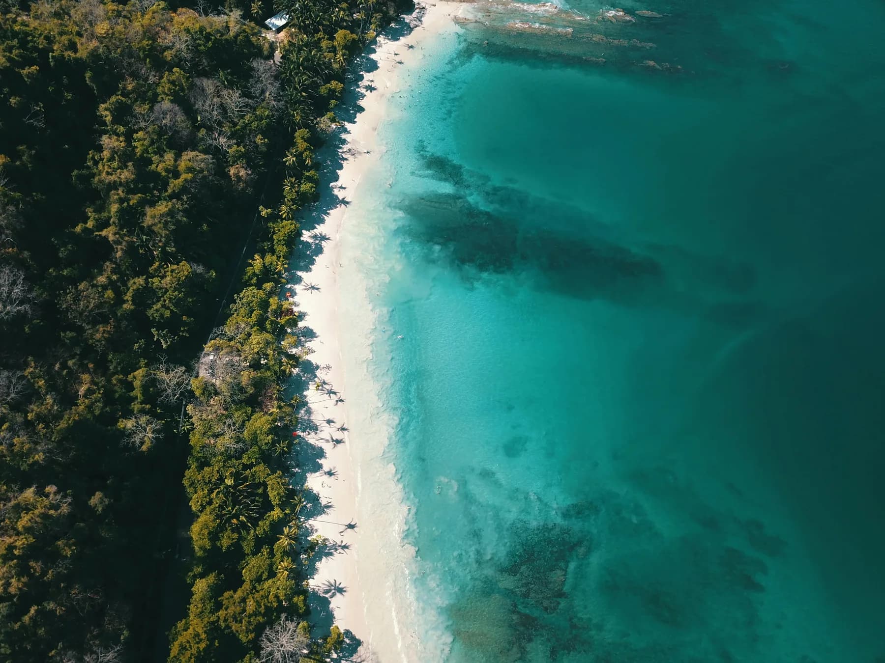Playa tropical vista desde el aire en Costa Rica
