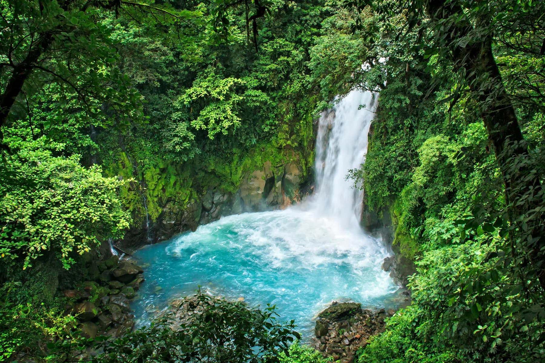 Catarata rodeada de selva tropical en Costa Rica