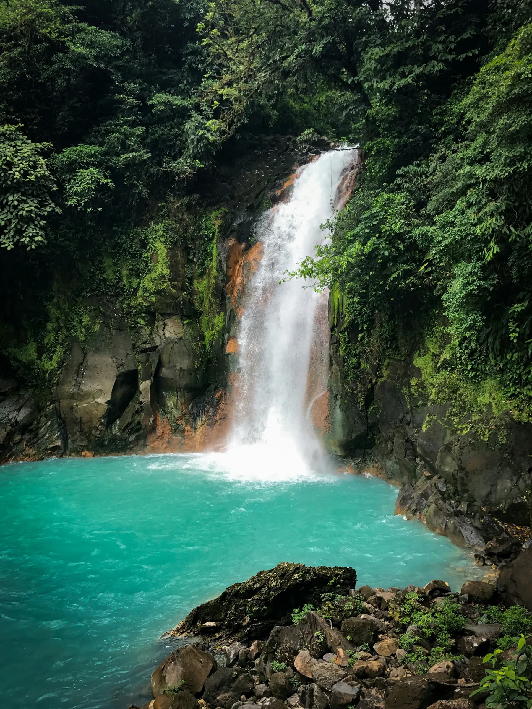 Rio Celeste rodeado de selva tropical en Costa Rica